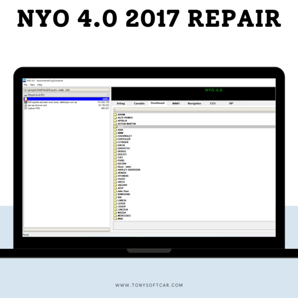 Nyo 4.0 2017